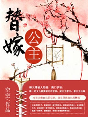 替嫁公主（替嫁医女）小说在线阅读
