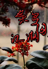 菜鸟闯江湖在线阅读