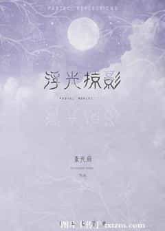 浮光掠影在线阅读