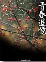 青春追忆在线阅读