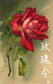 玫瑰令在线阅读
