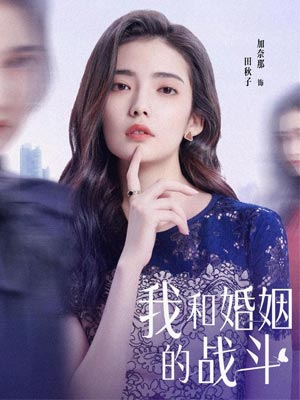 我和婚姻的战斗（婚内婚外）在线阅读