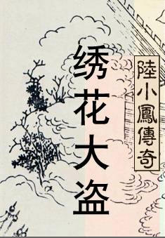 绣花大盗在线阅读